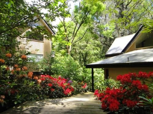 Treetops Cottage 1