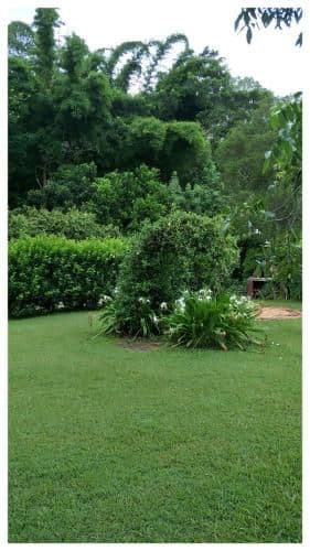 Cottage with Garden View