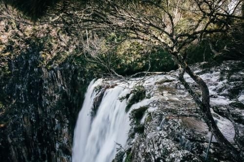 Nightcap Ridge - Byron Bay Hinterland3