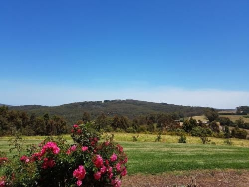Karri Aura1