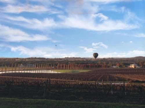 Vineyard View - Deluxe Queen Room