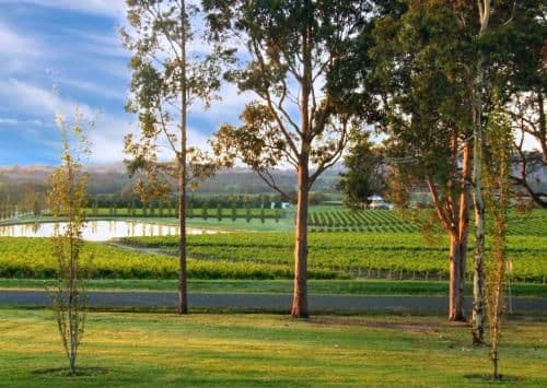 Vineyard View - Deluxe Queen Room