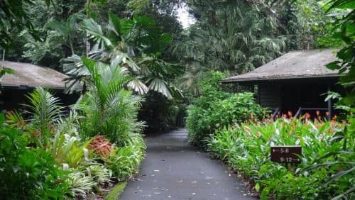 Special Offer - Cabin with Rainforest View