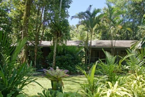 Special Offer - Cabin with Rainforest View