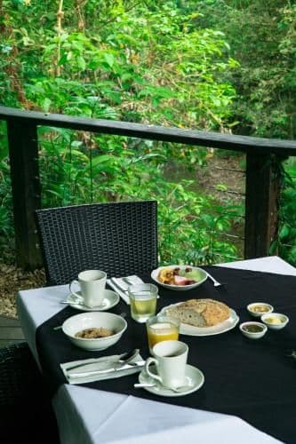 Special Offer - Cabin with Rainforest View