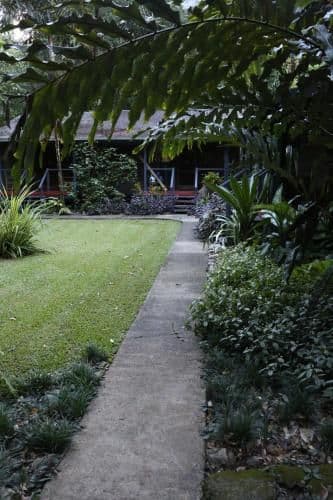 Special Offer - Cabin with Rainforest View