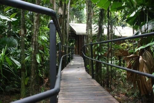 Rainforest Cabin with Balcony