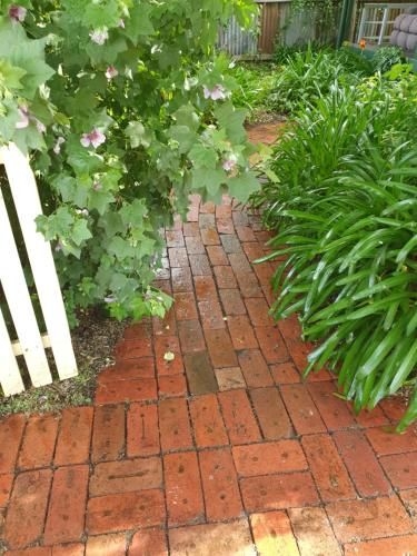 Abelia Cottages Botanical1