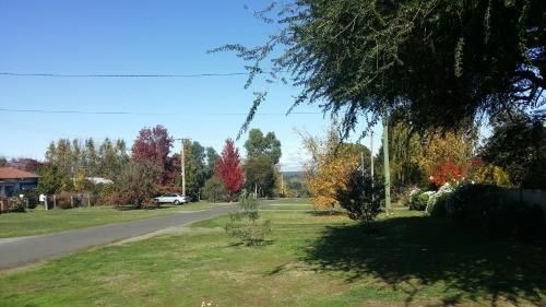 Abelia Cottages Botanical2