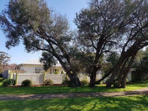 Two-Bedroom House