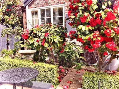 Rose Cottage with Garden View