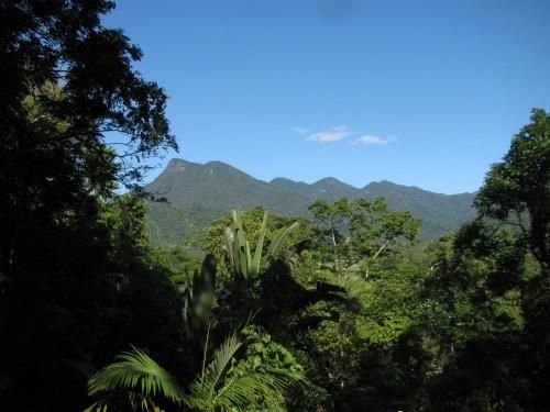 Mossman Gorge Bed and Breakfast0