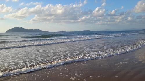 ดริฟท์วูด (Driftwood)1