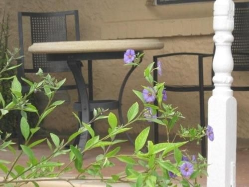 Amalie Cottage Waikerie Unit 1 (Amalie Cottage Waikerie)0