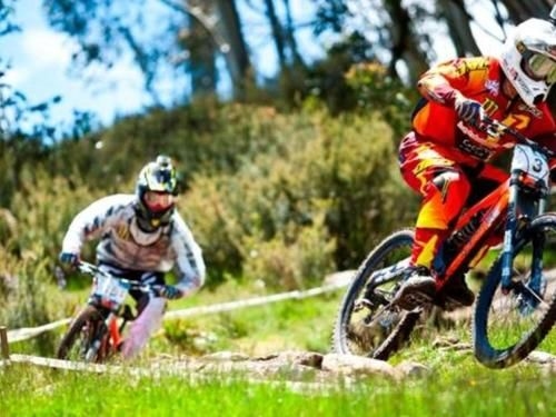 Stenmark 5/3 Poley Cow Lane1