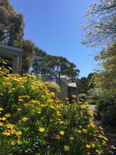 Villa with Garden View