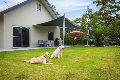 Bush Retreat With Private Pool4