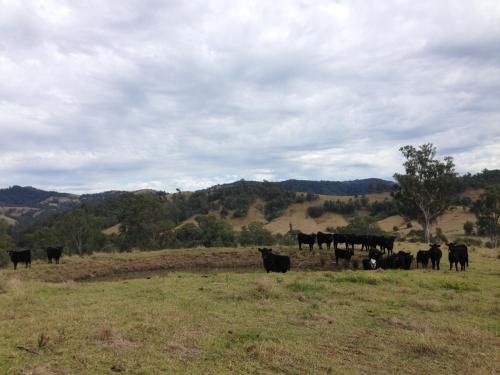 Bobby's Country Rental1