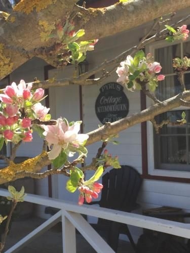 Coonawarra's Pyrus Cottage1