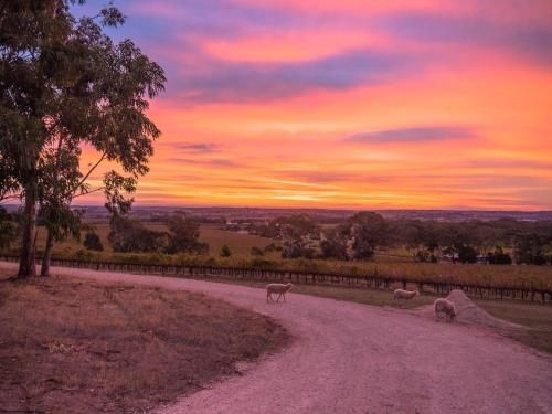 Shadow Creek McLaren Vale1