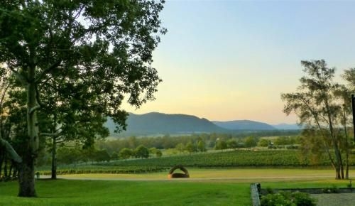 Winmark Wines0
