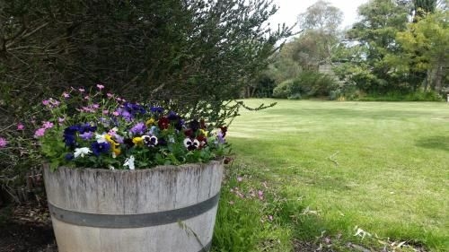 Padthaway Caravan Park0