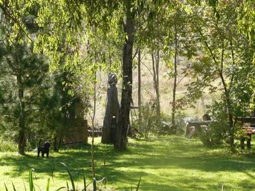 Wildwood Guesthouse4