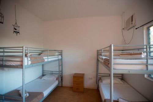 Bunk Bed in Mixed Dormitory Room