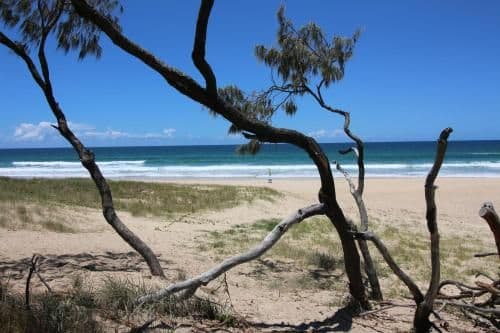 2 Bedroom Beachside Apartment