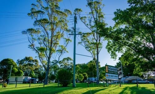 Dorrigo Mountain Holiday Park0
