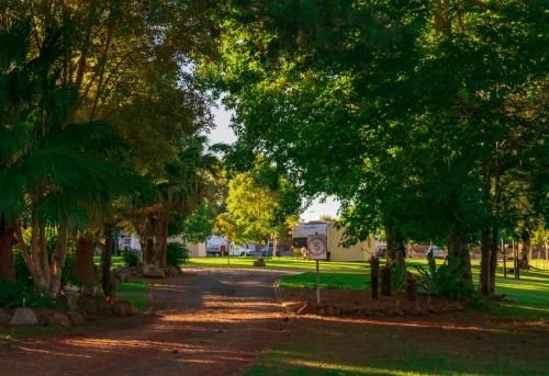 Dorrigo Mountain Holiday Park2