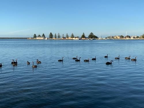 Boat Harbour Jetty B&B1