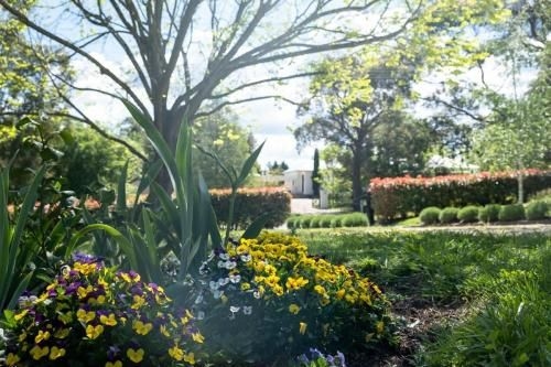 Somerset, Argyle Road Berrima2