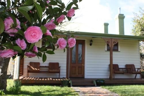 Westbury Gingerbread Cottages0