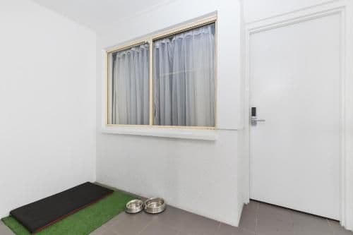 Superior Queen Room (Pet Friendly)
