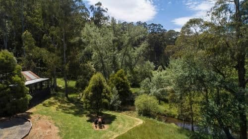 One-Bedroom Chalet - Tree Fern