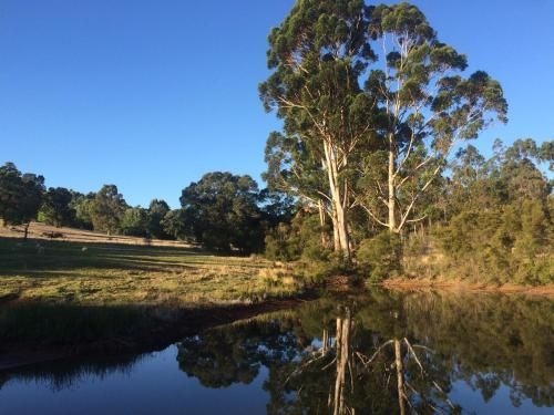 Chestnut Brae Farmstay1