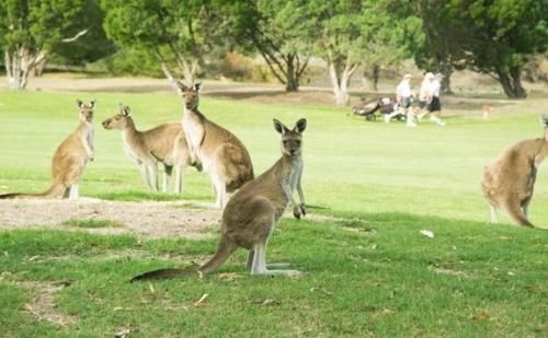 Joondalup Apartment4