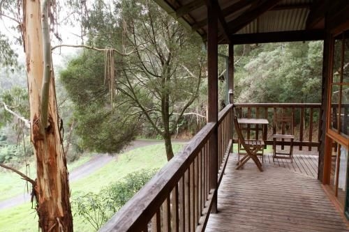Tall Trees Retreat4