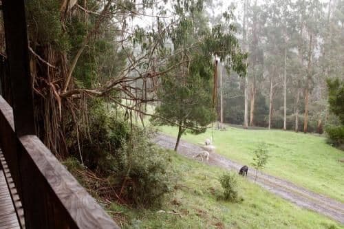 Blackwood - Two-Bedroom Cottage