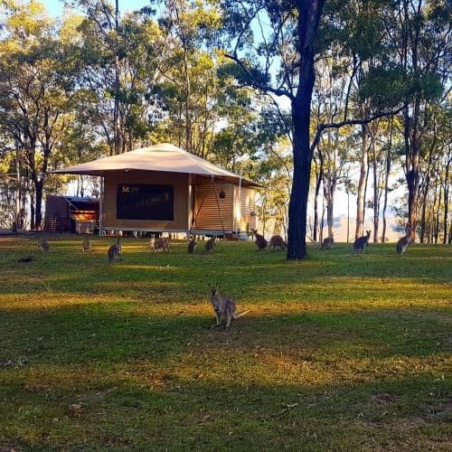 Ironbark Eco-Tent