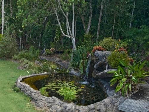 Cooroy Country Cottages2