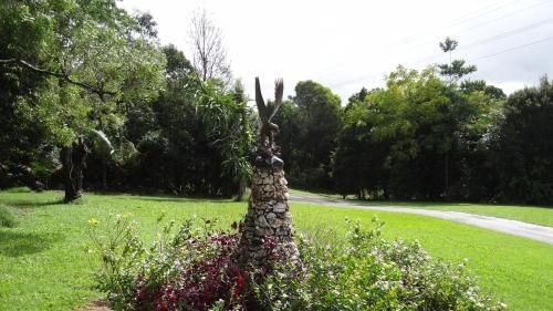 Cooroy Country Cottages4