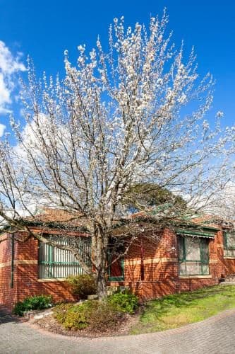 Two-Bedroom Townhouse