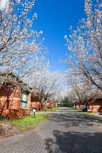 Mount Waverley Townhouses2