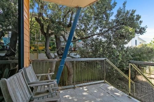 Fig Tree Down3