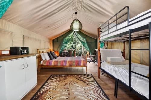 Eco Safari Tent