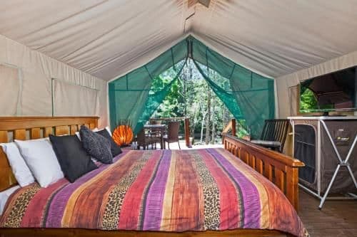 Eco Safari Tent