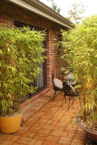 Standard Double Room with Garden View