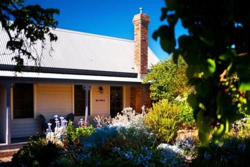 Circa Ivy Prince Daylesford3